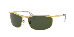 Ray-Ban 3119 SOLE