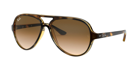 Ray-Ban 4125 SOLE