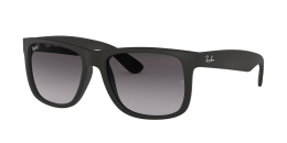 Ray-Ban 4165 SOLE