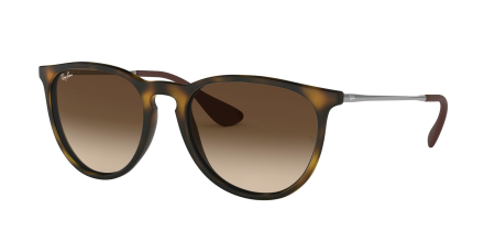 Ray-Ban 4171 SOLE