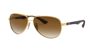 Ray-Ban 8313 SOLE