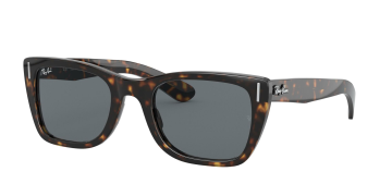 Ray-Ban 2248 SOLE