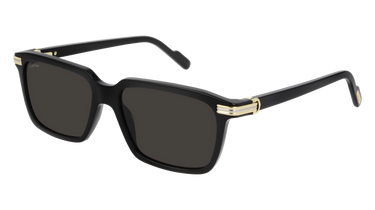 CT0220S